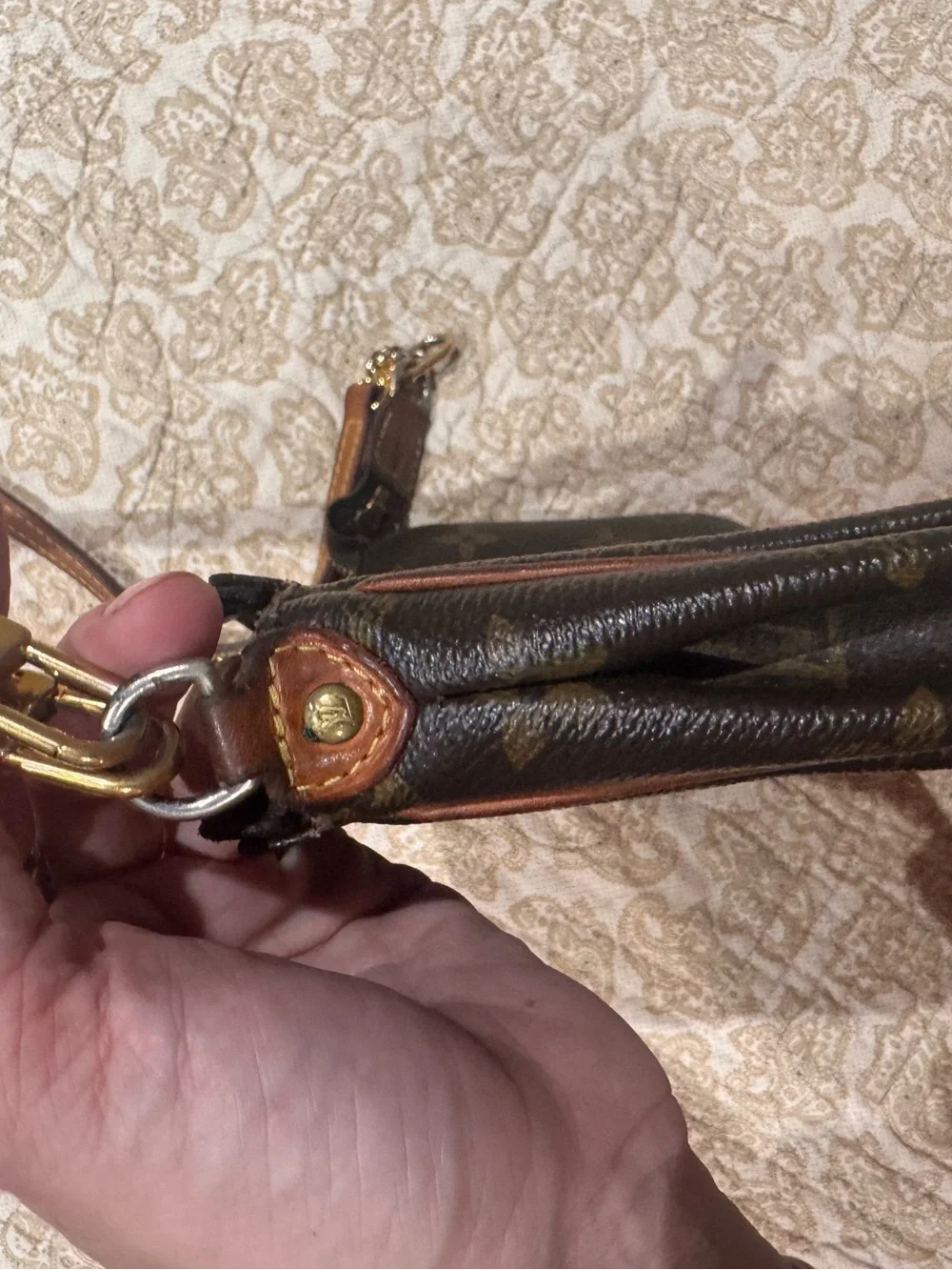 Louis Vuitton Eva Pochette